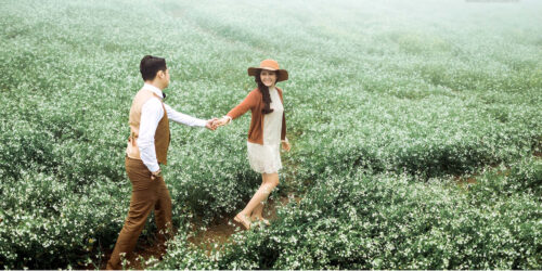 Du lịch Mộc Châu Hoa Cải