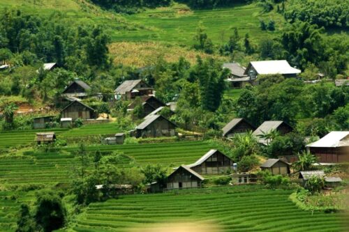 Mai châu