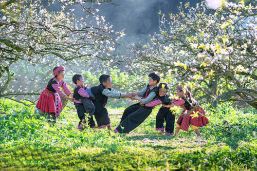 Du lịch mộc châu